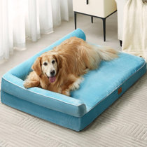 Purple dog bed large best sale